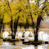 Autumn Dream 2